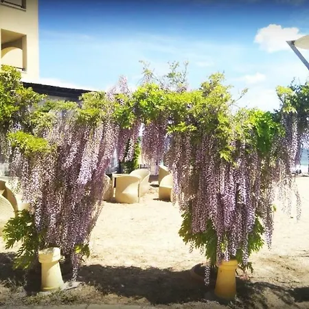 Boutique Studio At Oasis Vip Club